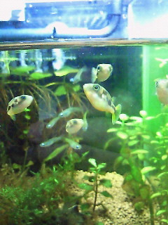 201107142156000.jpg
