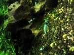 Image1386160375700.jpg