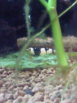 201102012024000.jpg
