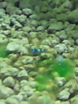 201102011916000.jpg